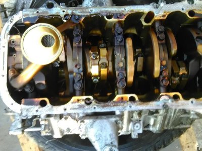 IMG_20160321_182858.jpg IMG_20160321_182858.jpg