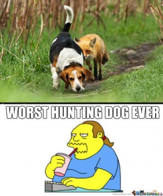 dammit-dog-you-had-one-job_o_2412583.jpg
