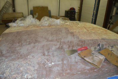 DSC_0595.jpg DSC_0595.jpg