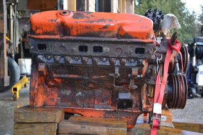 DSC_0965.jpg DSC_0965.jpg