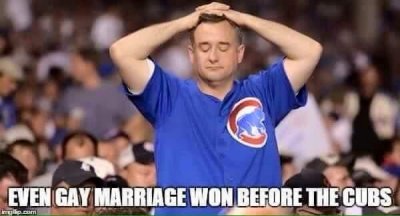 cubs.JPG