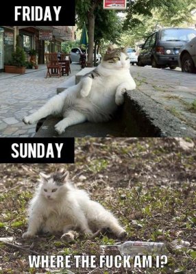 Friday%20Sunday.jpg