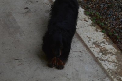 DSC_0599.jpg DSC_0599.jpg