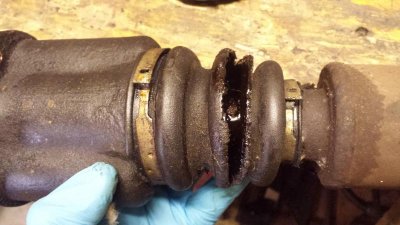 20160402_143233.jpg 20160402_143233.jpg