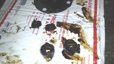 20160402_155118.jpg 20160402_155118.jpg