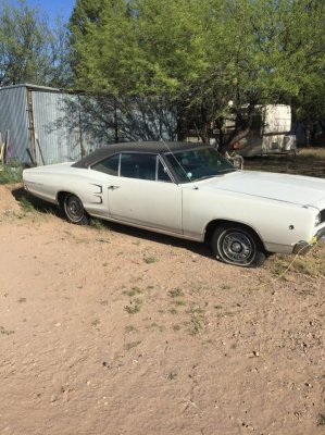 12961503_1102852516417331_2184991390076915445_n.jpg 12961503_1102852516417331_2184991390076915445_n.jpg