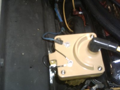 i946.jpg