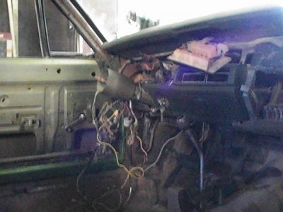 i1170.jpg