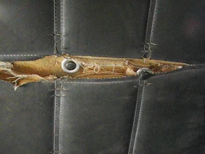 i1177.jpg