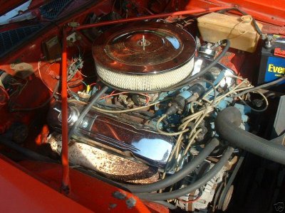 i1284.jpg