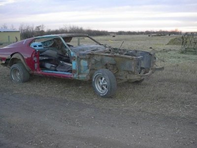 1973 mustang mach 1 Total rusto