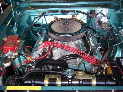 i2596.jpg