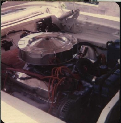 i3158.jpg