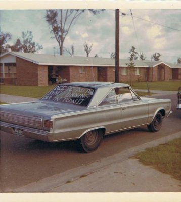 i3164.jpg