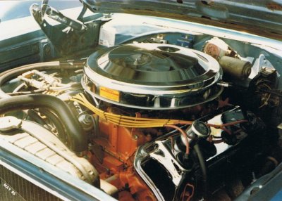 i3167.jpg