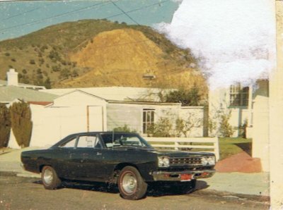i3170.jpg