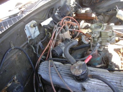 i3317.jpg