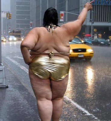 hitchhiker.jpg