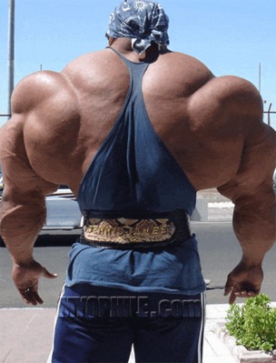body_builder_6sfw.gif
