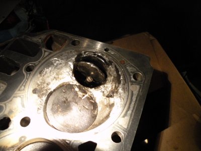 588 wedge carnage 001.JPG