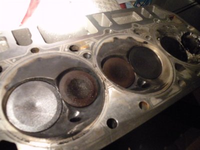 588 wedge carnage 003.JPG