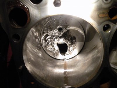 588 wedge carnage 005.JPG