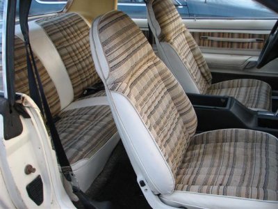 IMG_6081 (Small).JPG