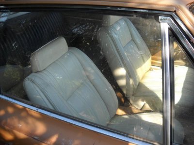 600 buckets 1024.jpg