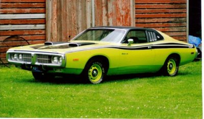 1973 Charger SEs