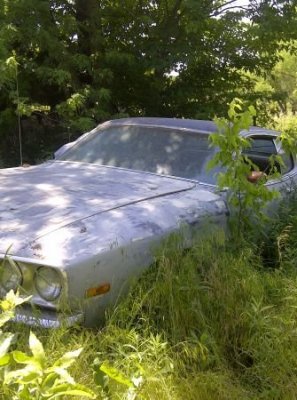 1973 satellite sebring