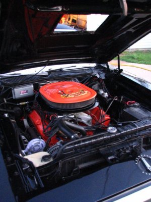 i6348.jpg