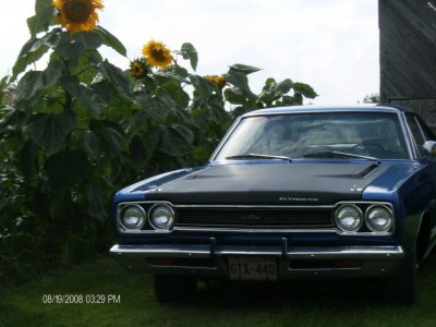 i7147.jpg