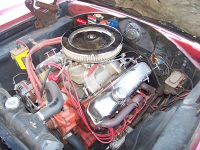 i7348.jpg