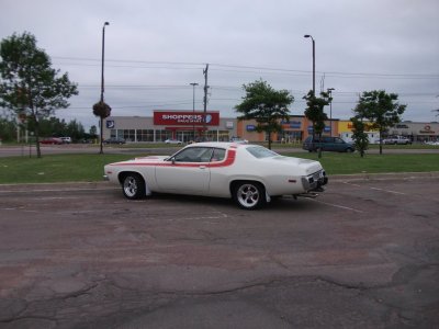 i7517.jpg