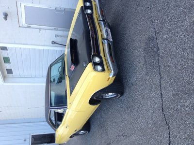 i8329.jpg