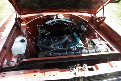 i8887.jpg