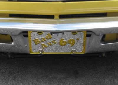 i8916.jpg