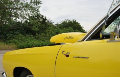 i8918.jpg