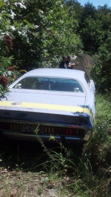 1973 dodge charger