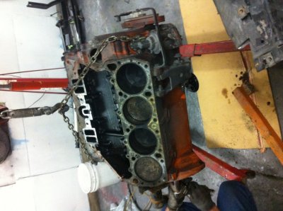 1968 hp 440