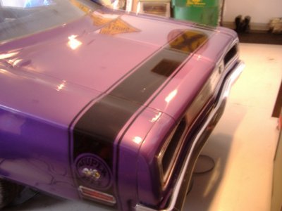 i10484.jpg