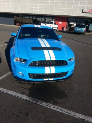 2011 Shelby S Snake 6 sp 5.4 L GT 500