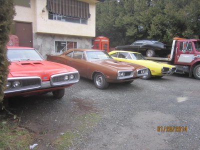 i10815.jpg
