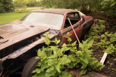 1973 Roadrunner parts car