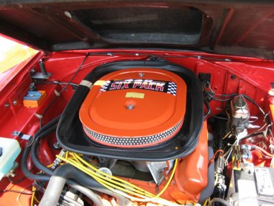 i11262.jpg