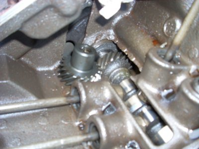 i12911.jpg