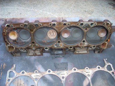 i12913.jpg