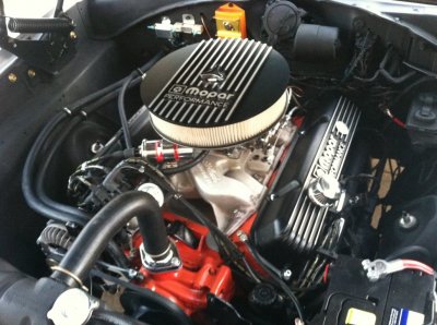 i15310.jpg
