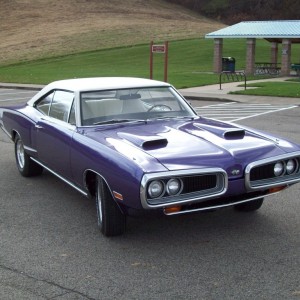 Super Bee 017.JPG