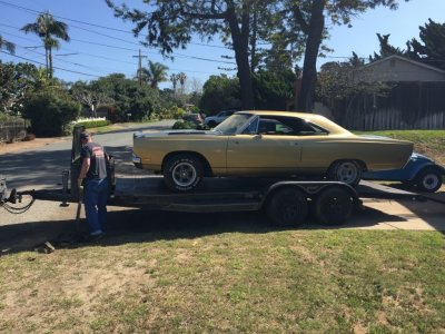 image.jpeg image.jpeg